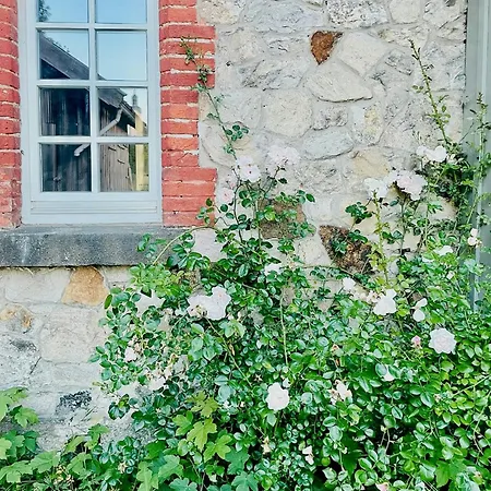 Historic Railway At Mount Arber Bayerisch Eisenstein