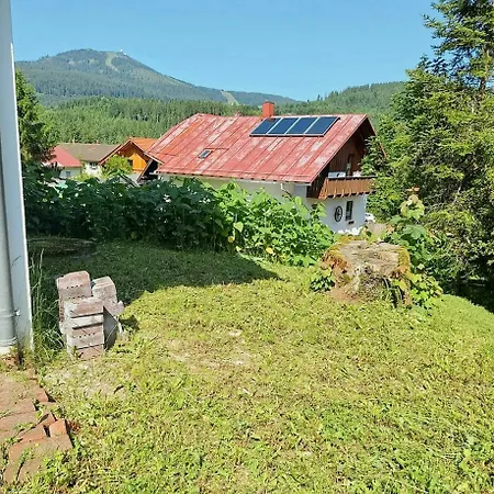 Historic Railway At Mount Arber