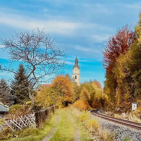 Historic Railway At Mount Arber
