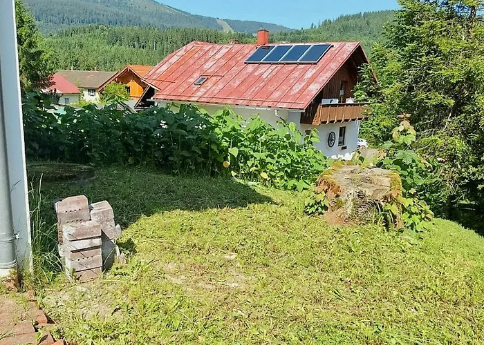 Historic Railway At Mount Arber