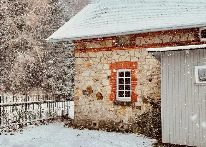 Historic Railway At Mount Arber バイエリッシュ・アイゼンシュタイン